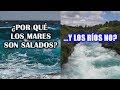 ¿Por qué el agua del mar es salada y la de los ríos dulce?