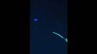 All Samsung Startup And Shutdown Sounds But The Animation Is From 2010 2015 REUPLOAD