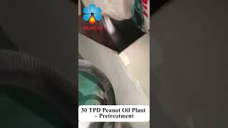 30 TPD Peanut Oil Plant – Pretreatment Workshop Tour | Huatai