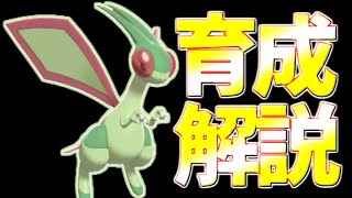 ポケモン剣盾 フライゴン育成論対策 優秀な攻撃範囲 あいつがいない今が輝くとき ポケモン育成論 Youtube