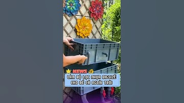 Bộ lọc bigsize cho bể cá ngoài trời #cacanh77