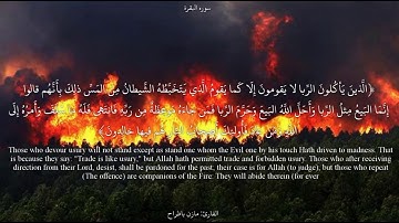 اية عقوبة الربا للقارئ الشيخ مازن باظراح