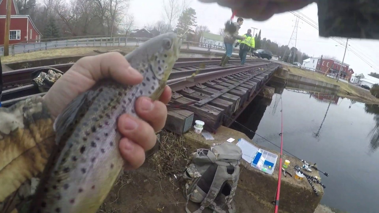 trout fishing part 1 