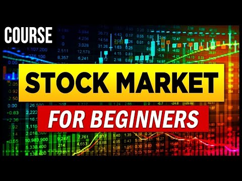 Stock Market For Beginners: Make Money Today (Investing Course)