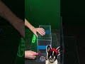 DIY Viral Cat Aquarium 😻 The Coolest Thing You’ll See Today!