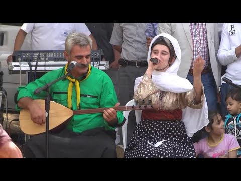 Haşim & Gülistan TOKDEMİR - Nova Nova (CANLI)