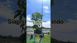Lagu Ini Lagi Viral Banget Ya fypage  viral laguviral