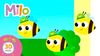 Busy Bees never rest! | Milo Official Channel