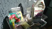 Тетяна_Ірпінь