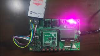 CEC1702 Blink Demo