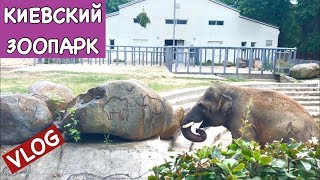 Vlog: Мы в Киевском Зоопарке