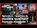 Agriculture : la culture du modèle qualitatif français menacée ?