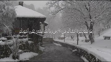 سورة النجم كاملة مع صوت المطر - عبدالعزيز الزهراني #quraan
