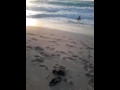 قريه مراقيا الساحل الشمالي قريه مراقيا الساحل الشمالي