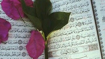 جزء عم *تلاوة القارئ عبد الودود حنيف*
