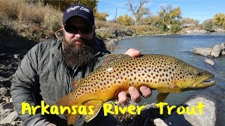 Arkansas River Trout Fishing screenshot 3