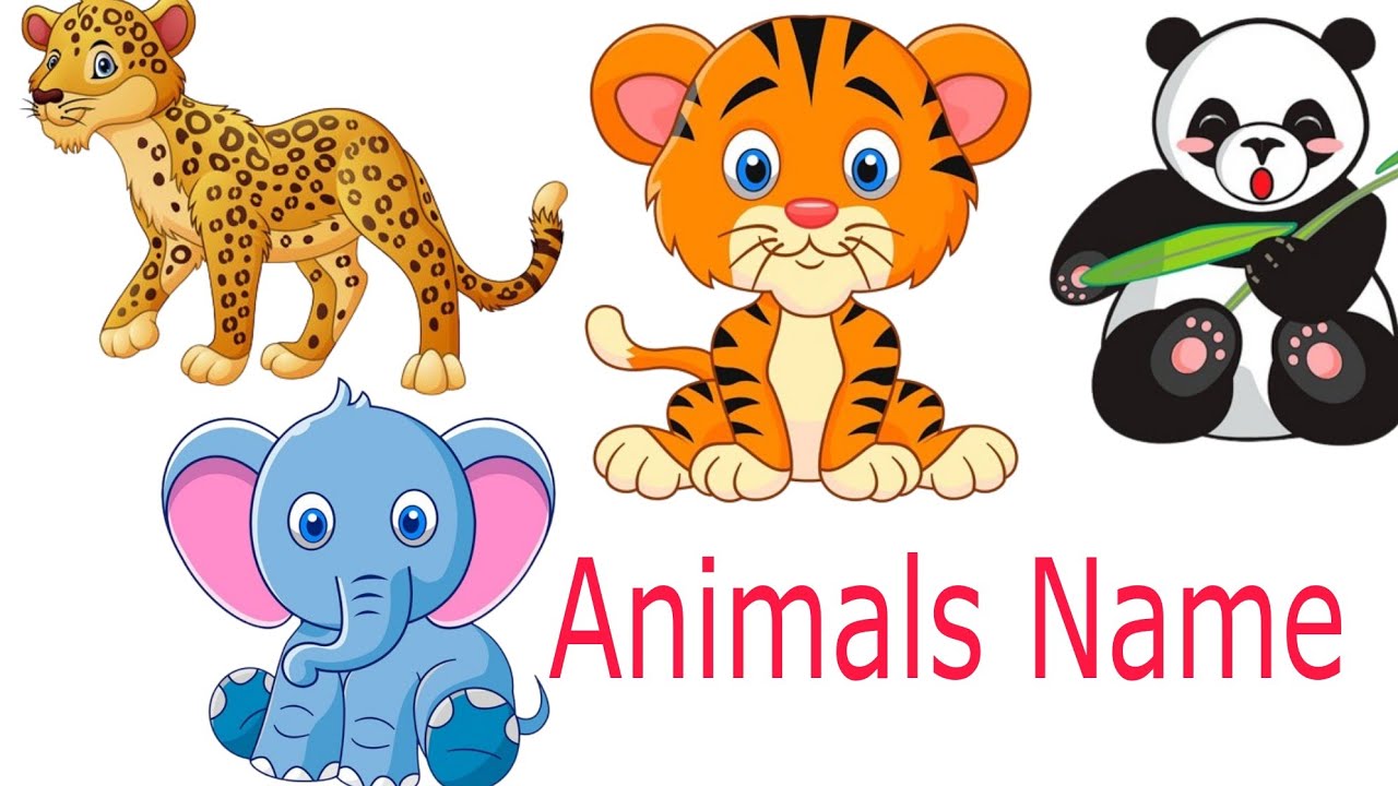 Wild Animals Name In Hindi And English wildanimals animals YouTube wild-animals-name-in-hindi-and-english-wildanimals-animals-youtube