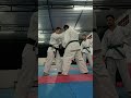 Seisan Bunkai#karate #kumite #karateworld  #kata #wkf #defesapessoal #gojuryu #ikga #karatedobrasil