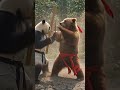 Bear fight #Panda #animals #nature #imagination