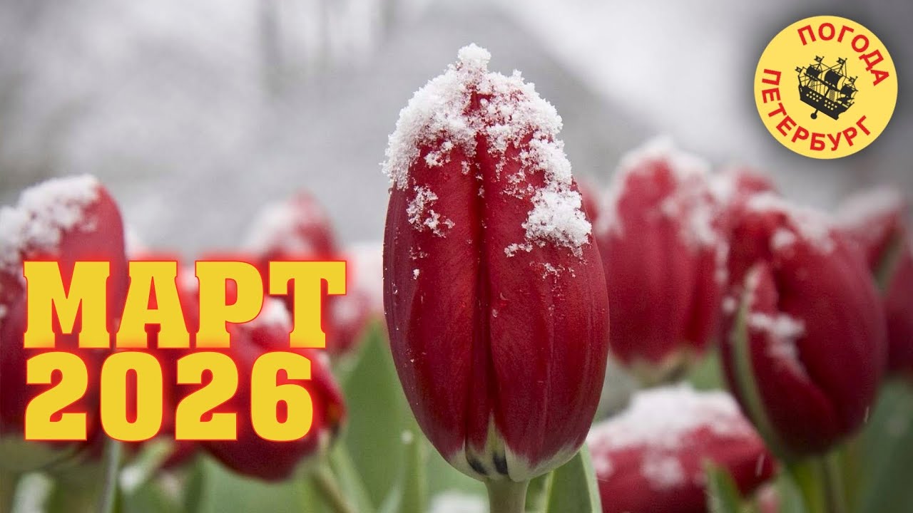 2026.03.01. Погода Петербург. 20:34. +2°....+4°. Все тает. Домой по быстрому.