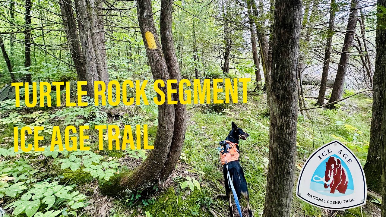 Turtle Rock Segment - Adventures with Tula on the Ice Age Trail 🐾💛