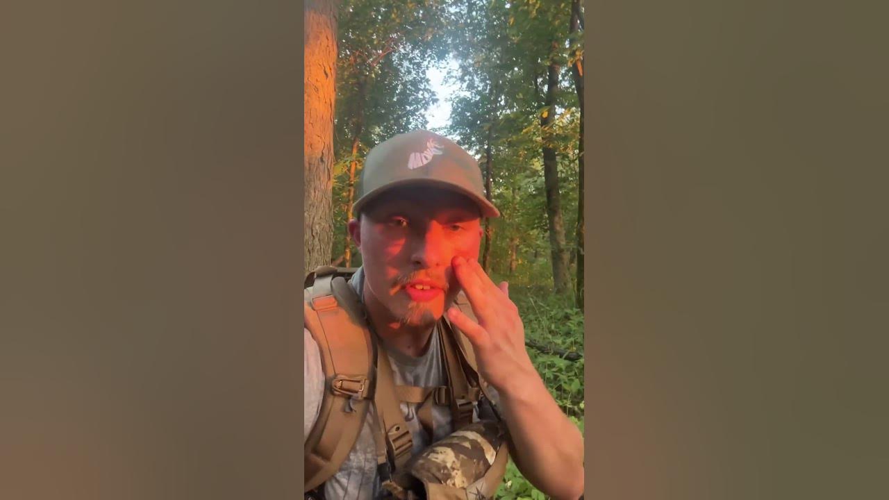 how-to-identify-buck-bedding-youtube