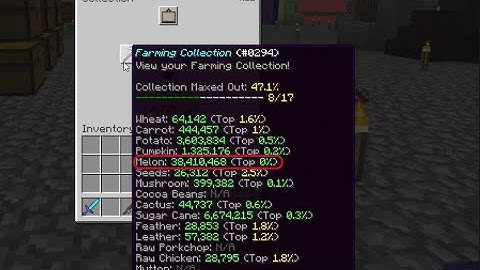 hypixel skyblock is a perfect game with no bugs what-so-ever