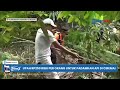 Ditanya RI 1 usai Absen Rakornas TPAKD, KDM Ternyata Bertolak Padamkan Api di Gunung Ciremai