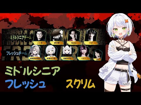 【スト6】#あじゅフェス 敬老杯のフレッシュ vs ミドルシニアのスクリムに参加します!!若さポイントで、勝つ。【斜落せつな/ぶいぱい】 video thumb