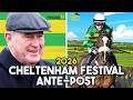 HANDICAP WEIGHTS SPECIAL! | Cheltenham Festival 2026 Ante-Post #8