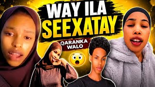 JAWERIYA SHABELKA MUDUG LIBIYA ILASEXATAY WAA DAREMAY INAY NIN TAHAY