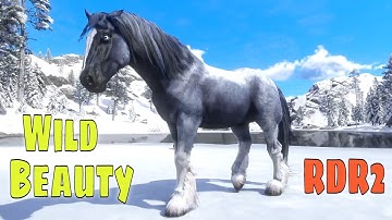 RDR2 Horse Showcase | Stunning Custom Horse Mod in Red Dead Redemption 2