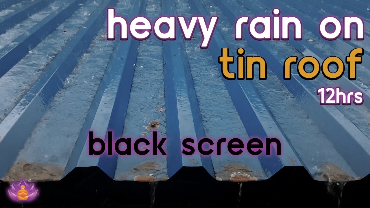 [Black Screen] Tin Roof Downpour | Heavy Rain on Tin Roof – No Thunder | Sleep Rain Sounds