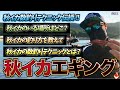 エギング秋イカ数釣りテクニック！今秋すでに250杯以上釣ってる達人の腕をお見せします！