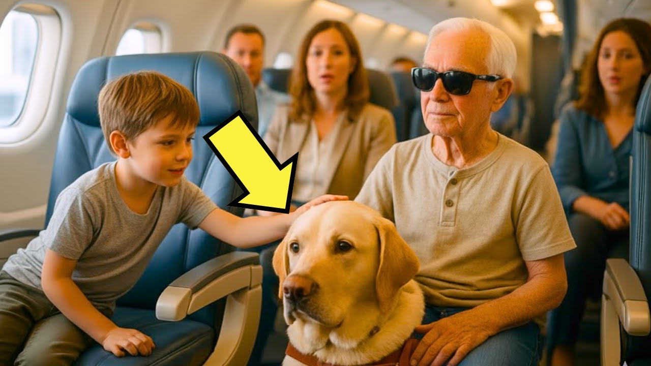 EL PERRO DEL CIEGO RICO NO DEJABA DE LADRAR EN EL AVIÓN… HASTA QUE UN NIÑO POBRE…