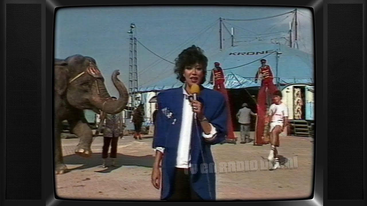 TV: AVRO - Programma's Vanavond, Hans van der Togt, Sterrenslag - Telelot (19850902) | Sandra Reemer