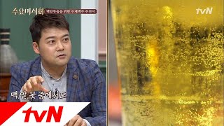 Wednesday Foodtalk 현무피셜 '소맥하기 좋은 맥주가 라거다!!' 라거 vs 에일 구분법! 180530 EP.172