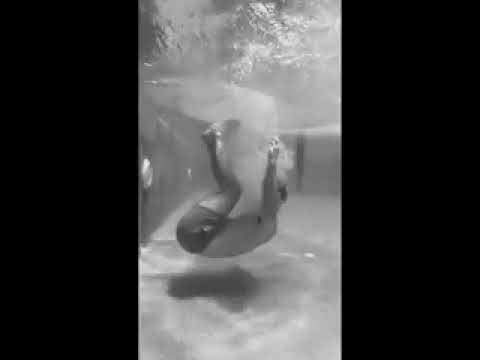 مسلم مابقيتش عارف اعمل ايه حالات انستا إتنسيت