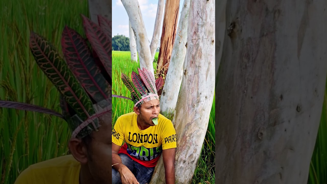 Secret Trick to Catching Parrot