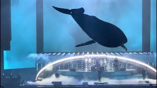 Gojira - LDLC Arena Lyon 10 décembre 2025 - Flying whales