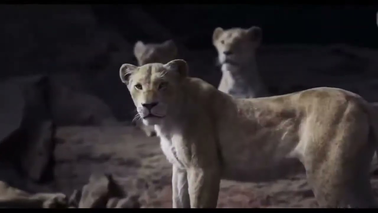 The Lion King Movie Trailer In English   Animation Movies 2019