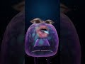 Kwalle putzt sich die Zähnchen #maracwa #maracwatv #memes #meme #funny #trailer