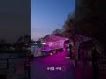 대구여행, 수성못 야경 2203 #수성못 #koreatravel #nightscape