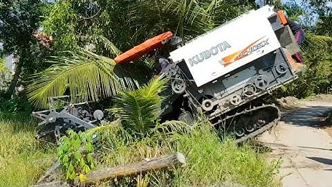 CẬN CẢNH MÁY CẮT LÚA KUBOTA DC 105x XUỐNG DỐC BỊ CẤM ĐẦU máy gặt đập Liên Hợp dc