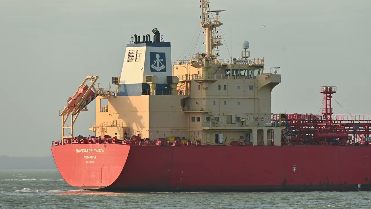 Ship movements / Between Rotterdam  and Antwerp  /  Navigator Yauza