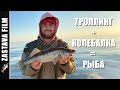 Рыбалка Троллингом и Колебалка на Рыбинском водохранилище дали МНОГО рыбы 2020.