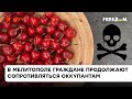 😈Подарок для оккупантов! В Мелитополе фермеры отравили черешню