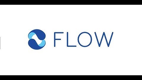 Case Study: Flow.io