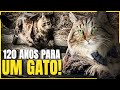 08 ANIMAIS MAIS VELHOS DO MUNDO!