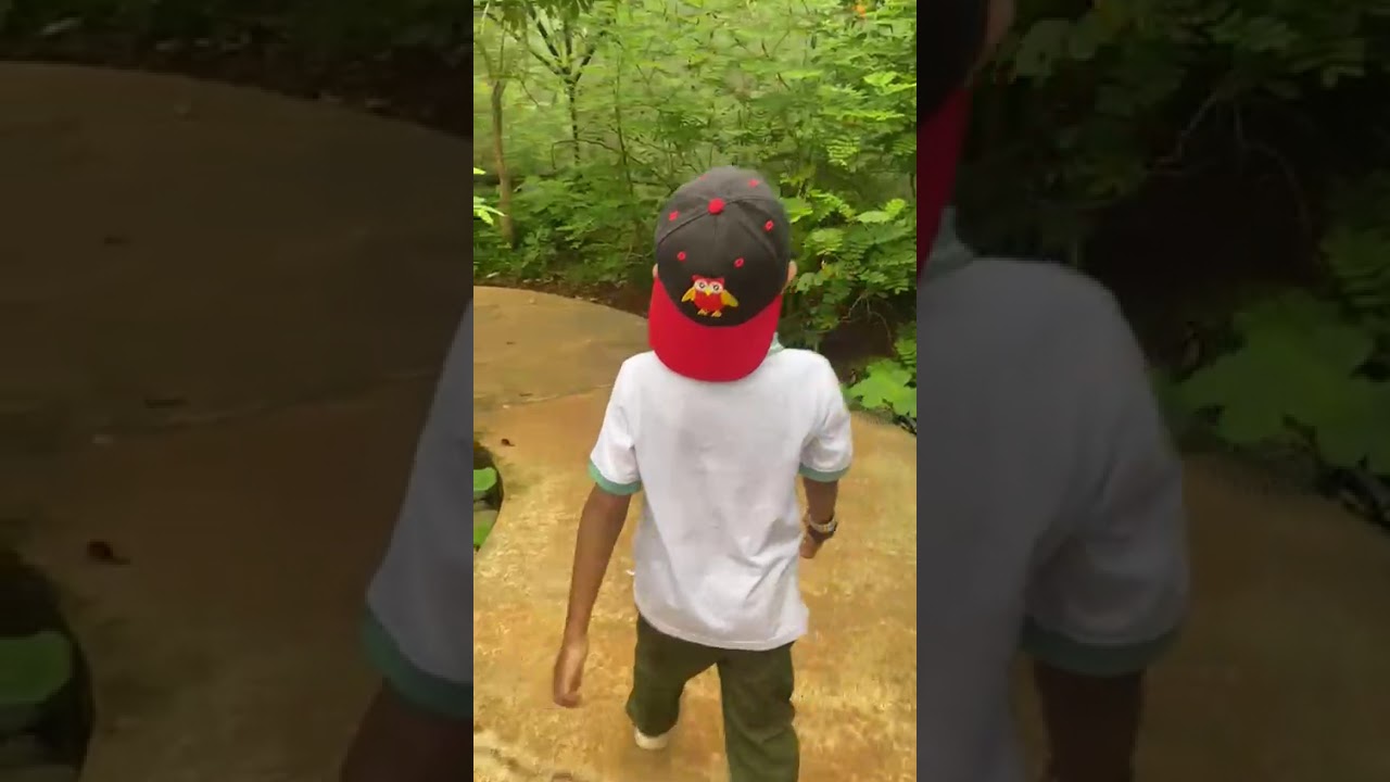 Reiner at Butterfly's Garden Aviary Park Bintaro